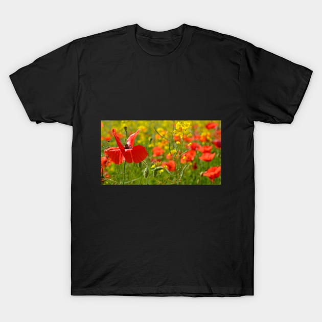 Poppies T-Shirt by jojobob